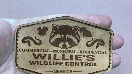 ricksangelsfree onlyfans model photos