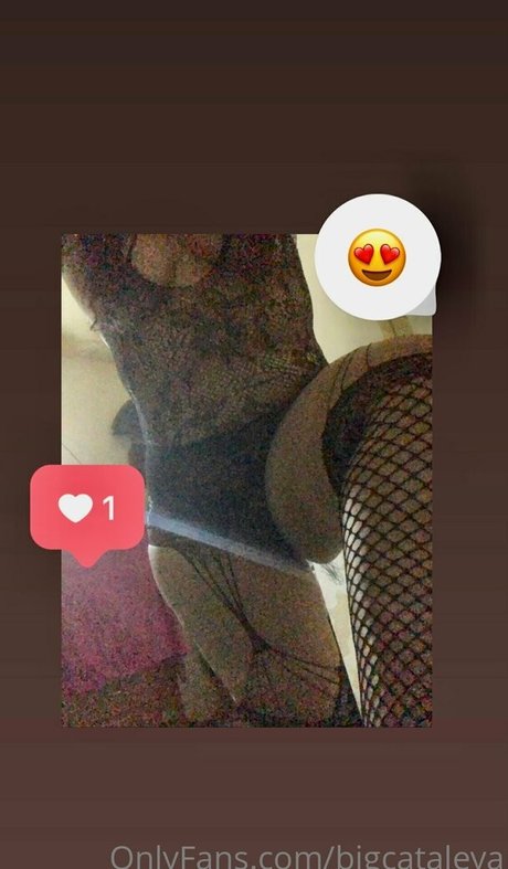bigcataleya onlyfans nude