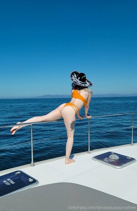 tenacioustaurusfree new onlyfans