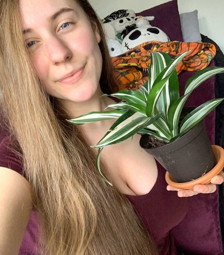 Casey The Gamer onlyfans xx