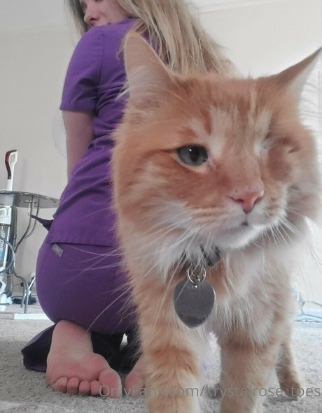 krystalrose toes onlyfans picture