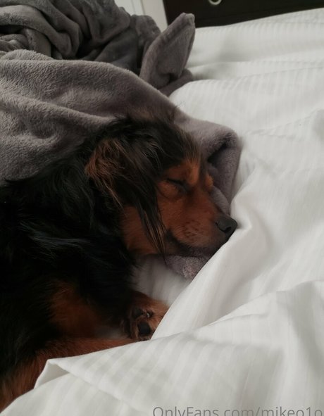 mikeo1o onlyfans leak