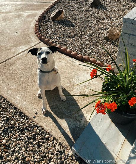 luxxxstone onlyfans model images