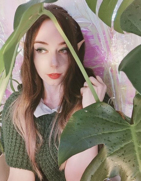 forestnymphnz onlyfans mega