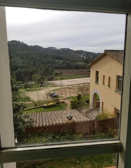 tommypistol desnuda onlyfans