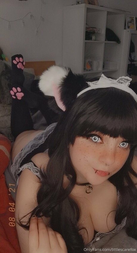littlescarefox onlyfans leaked free