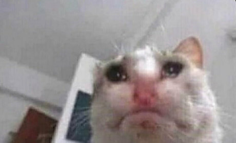 imnoturgothgf porn onlyfans