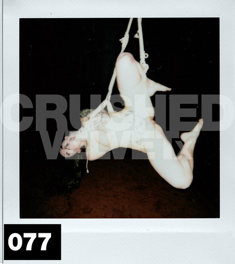 crushedvelvetx porn onlyfans leak