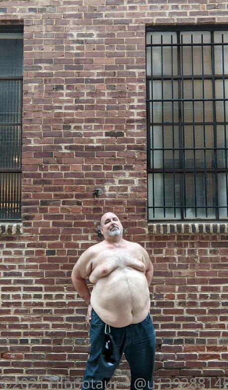 hippotaur Profile pic