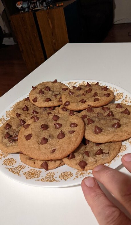 hippotaur onlyfans content type