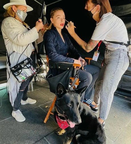 Chloe Grace Moretz onlyfans nudes