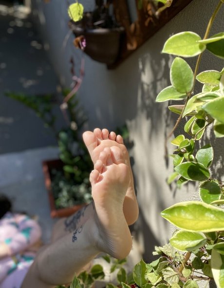 Prii feet onlyfans pics nude
