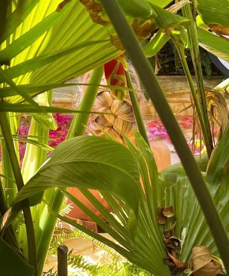 Pamela Anderson onlyfans nudes