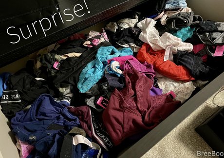 itsbreeboo onlyfans porn leaked