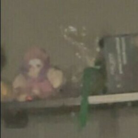 Realcarpetmuncher nude leaked onlyfans