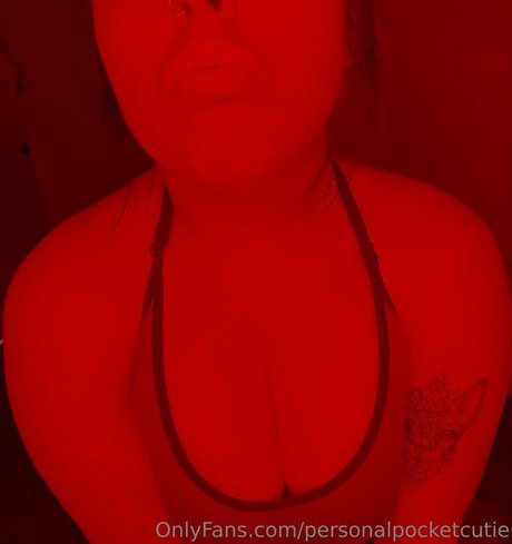 personalpocketcutie onlyfans porno