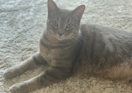 nyxiedust onlyfans leaked dirtyship