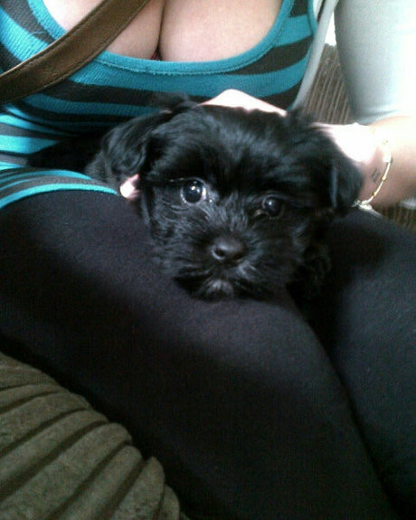 Katy Yardley en onlyfans