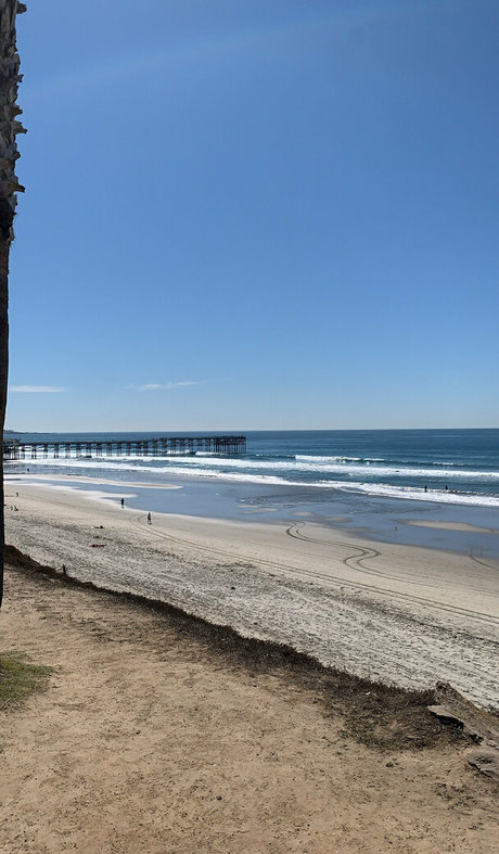 wellnesswithmary nude onlyfans leaks