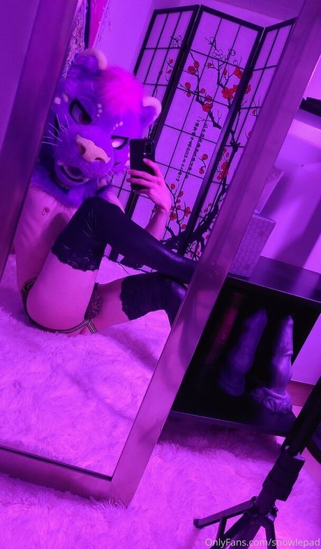 snowlepad onlyfans leak free