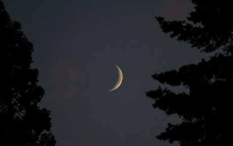 alignedbykarissa onlyfans de