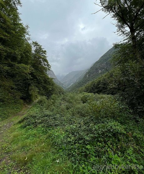 alignedbykarissa free onlyfans