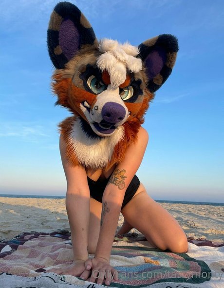 tastymonty onlyfans gratis