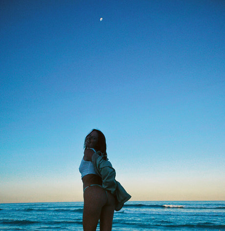 seasharkcensored leaked onlyfans pictures