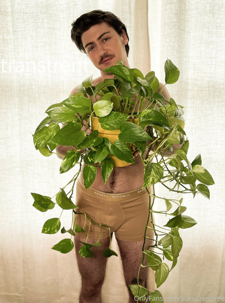 transtrentfree desnuda onlyfans