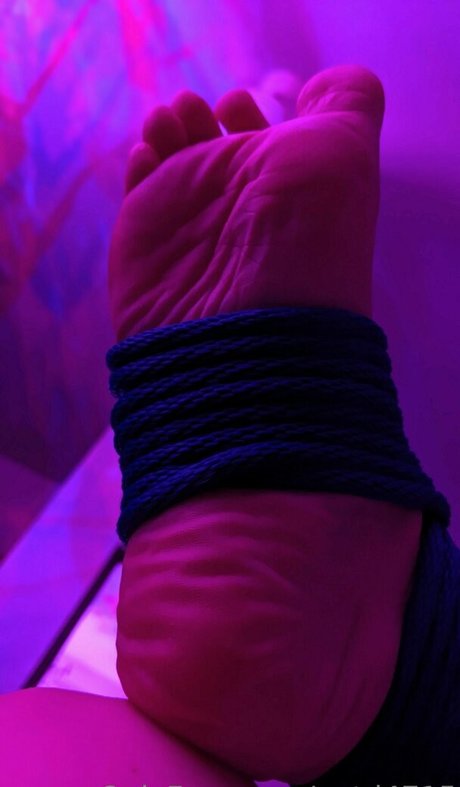 tashad4715 only fans leak nude