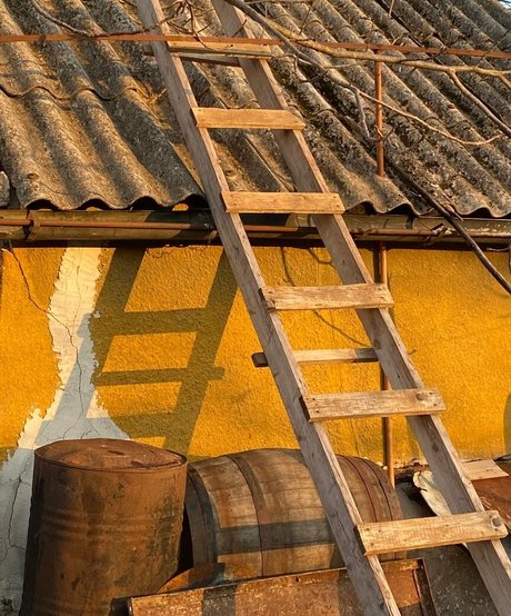 zhanna v new onlyfans