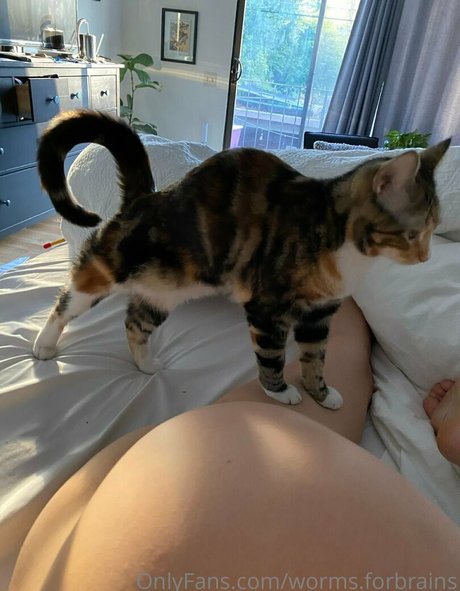 worms forbrains nude onlyfans leak