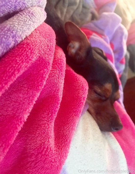 hollynicolebtch onlyfans nsfw