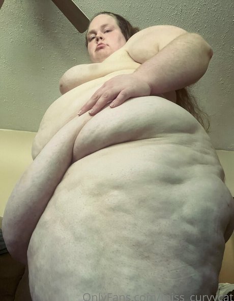 miss curvycat feet onlyfans