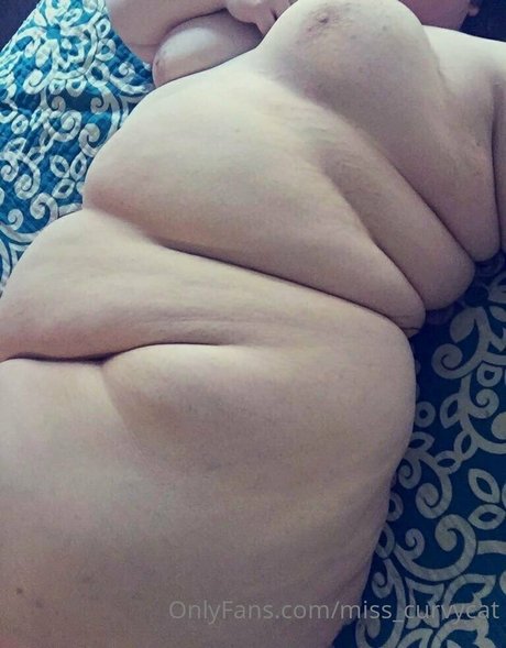 miss curvycat nude onlyfans leaked