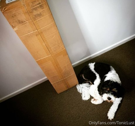 toniclust onlyfans model