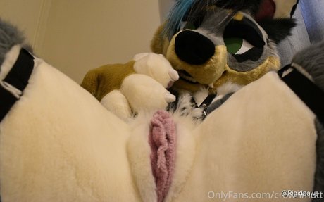 crownmutt only fans content