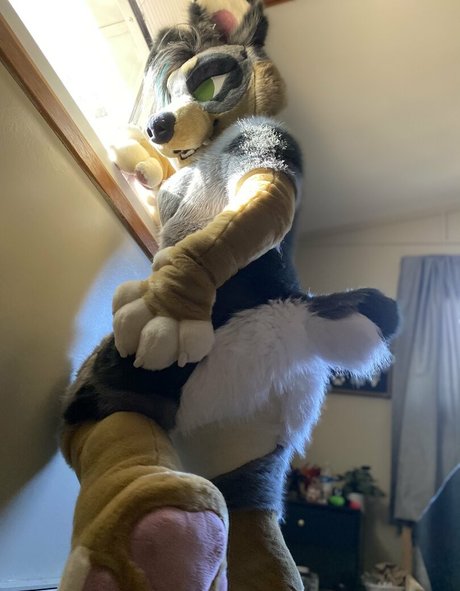 crownmutt new onlyfans leaks