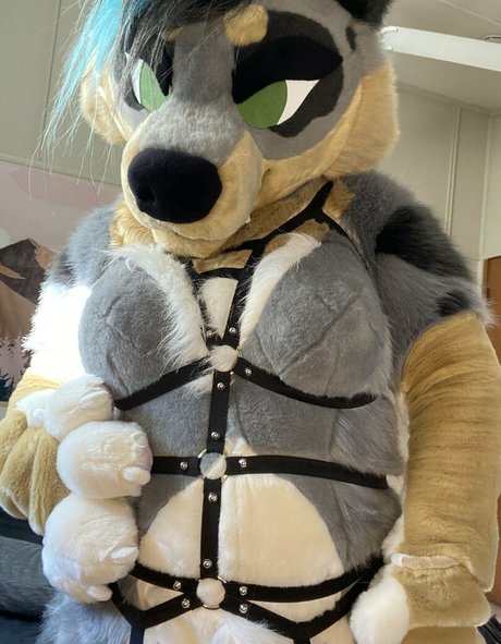 crownmutt naked on onlyfans