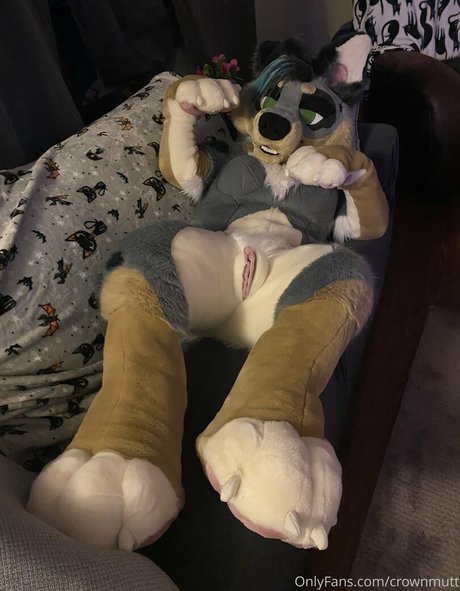 crownmutt sexy onlyfans