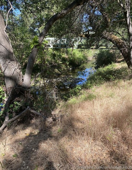 iamnotyoursub onlyfans sex tape