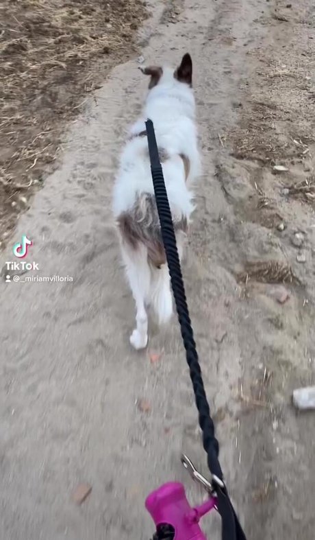 miriamvilloria onlyfans leak nude