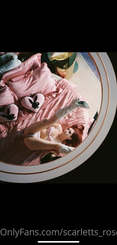 haleysvision onlyfans picture