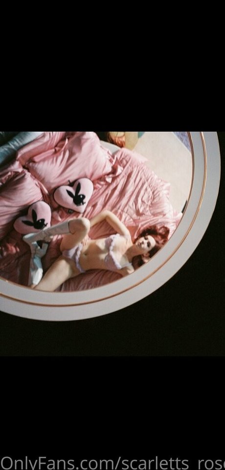 haleysvision leaks only fans