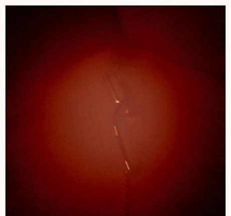 Maggie Q onlyfans full