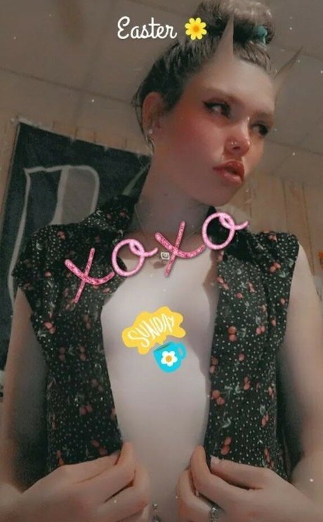 Dixicamo01 onlyfans free content