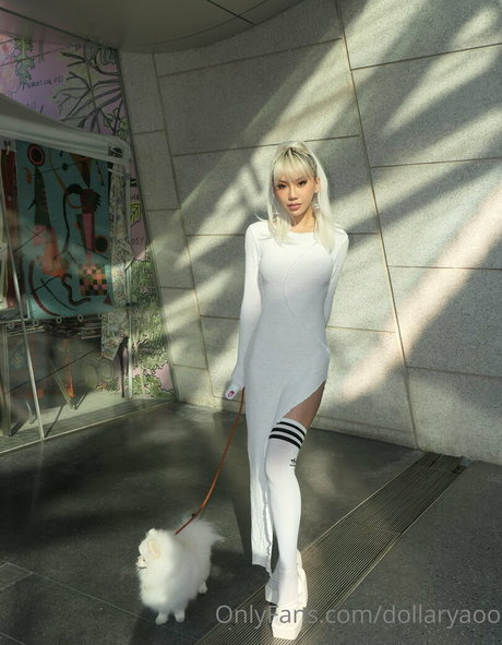 dollaryaoo onlyfans leake