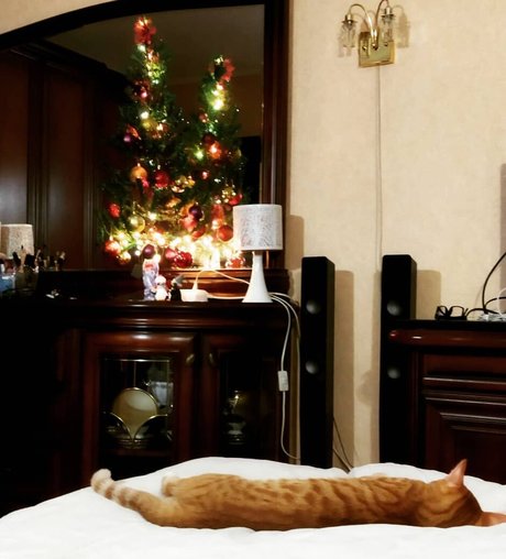 Leka Galkinstein leak only fans