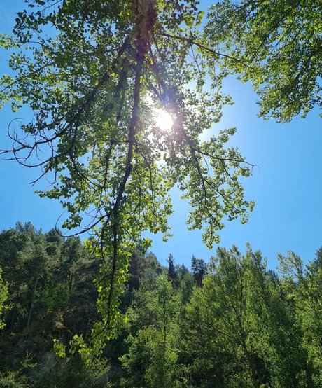 Ann Cygnus is on onlyfans