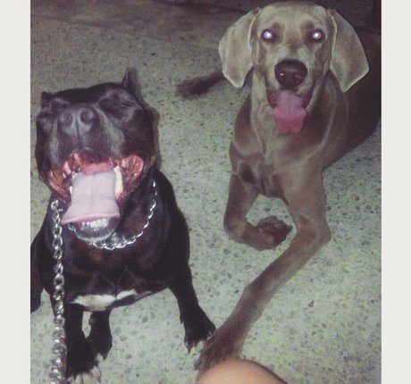 lamartinezruiz onlyfans leak new